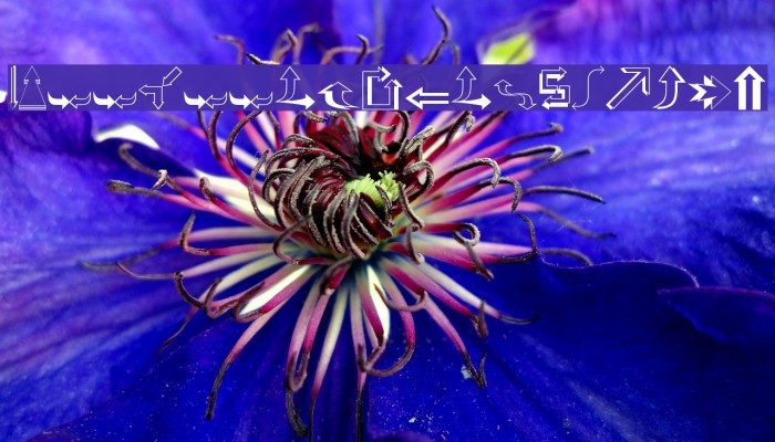 Carr Arrows [outline] Example 2