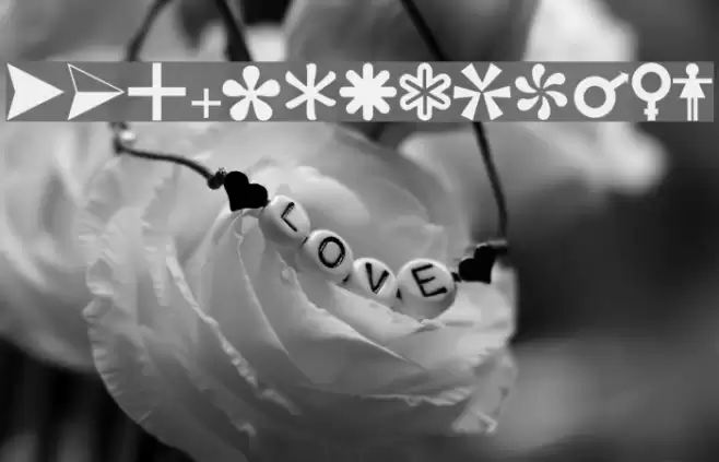 Carr Dingbats 1 Font examples