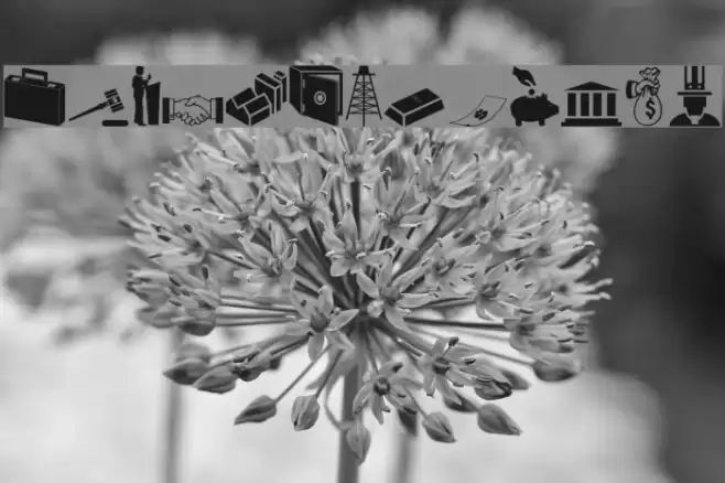 Carr Government Schriftart examples