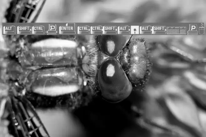 Carr Keys Font examples