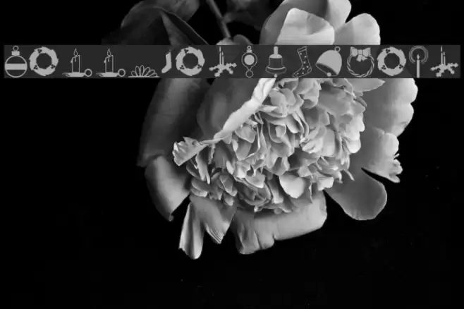 Carr Xmas Dingbats Font examples