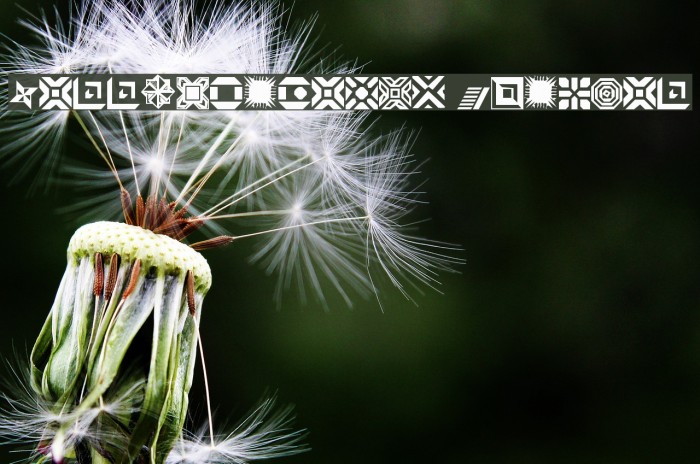 CarrDingbats1 Regular Example 1