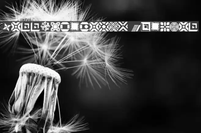 CarrDingbats1 Regular Font examples