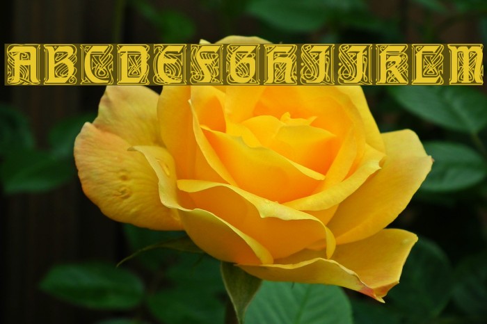 Carrick Regular Font examples
