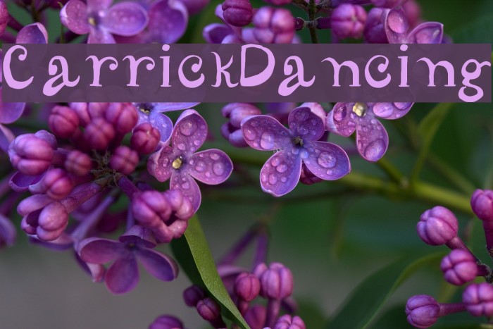 CarrickDancing Font examples