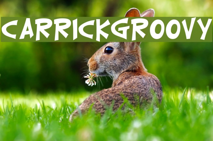 CarrickGroovy Font examples