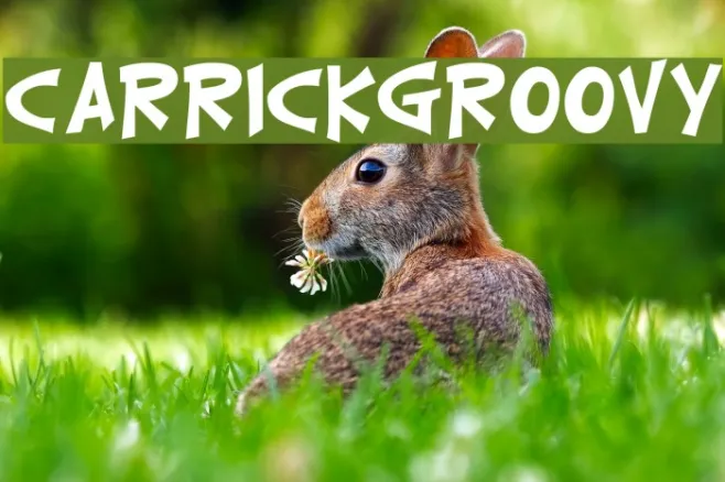 CarrickGroovy Example 3