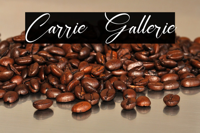 Carrie  Gallerie Example 3