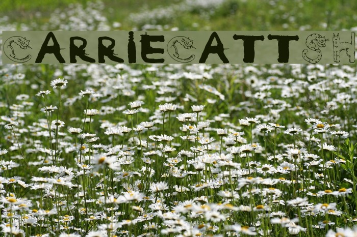 CarrieCattSH Font examples