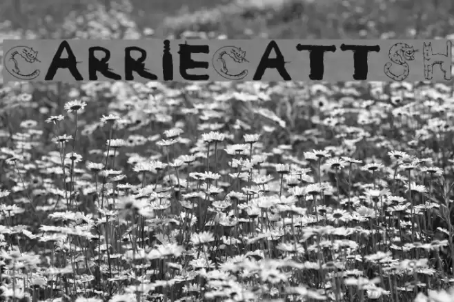 CarrieCattSH Schriftart examples