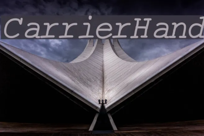 CarrierHand Example 2