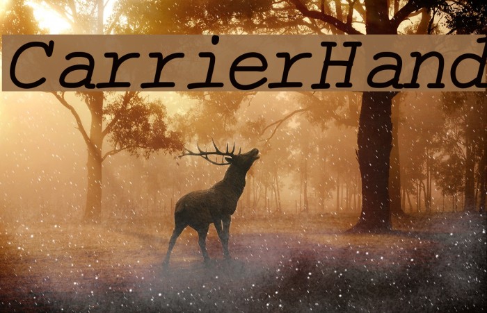CarrierHand Font examples