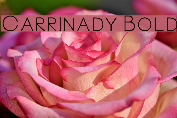 Carrinady Bold Font examples