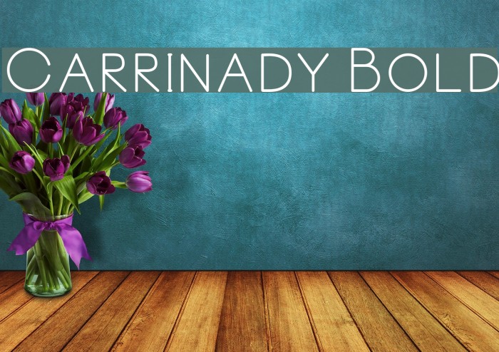 Carrinady Bold Font examples