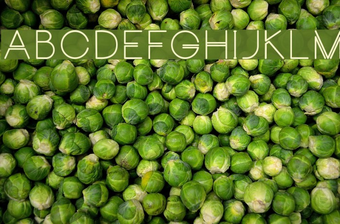 CarrinadyBold Example 3