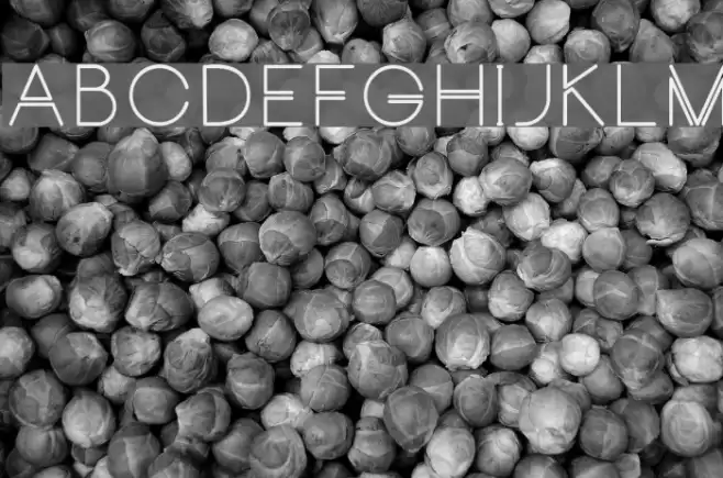 CarrinadyBold Font examples