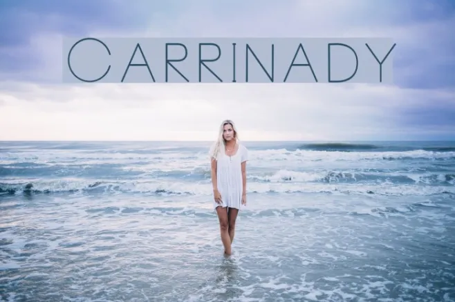 Carrinady Example 2