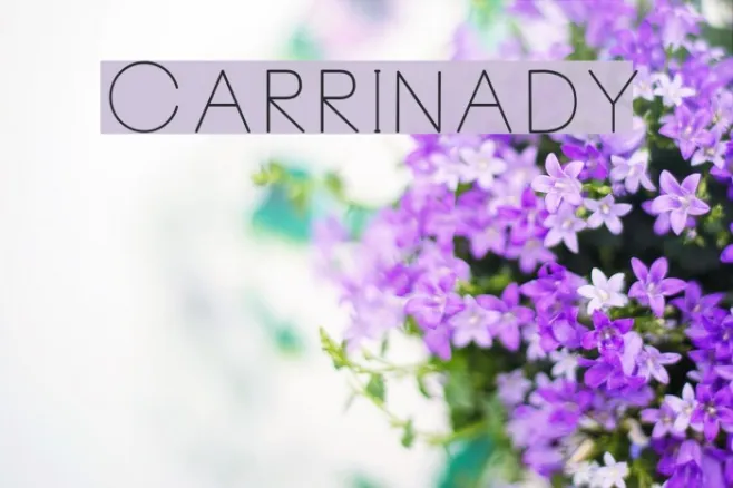 Carrinady Example 3