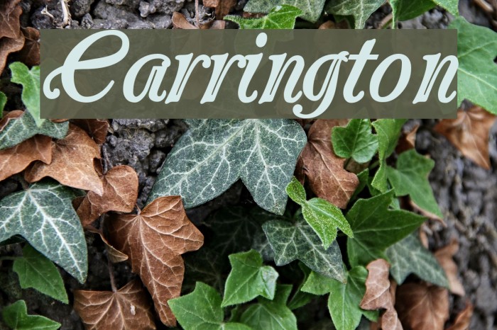 Carrington Font examples