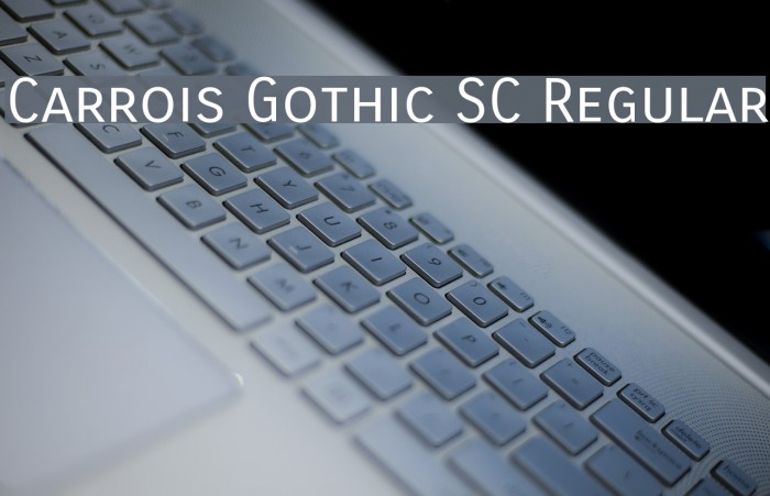 Carrois Gothic SC Regular Font examples