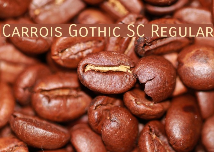 Carrois Gothic SC Regular Font examples