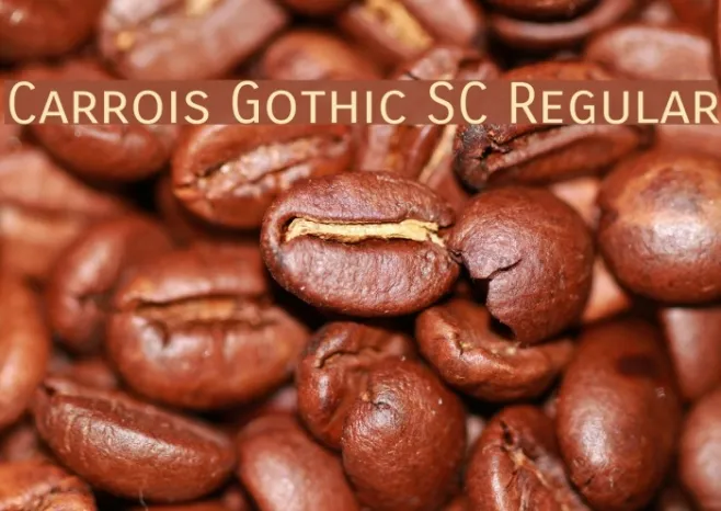 Carrois Gothic SC Regular Example 3