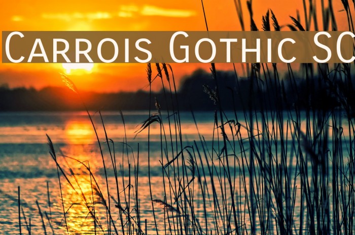 Carrois Gothic SC Font examples