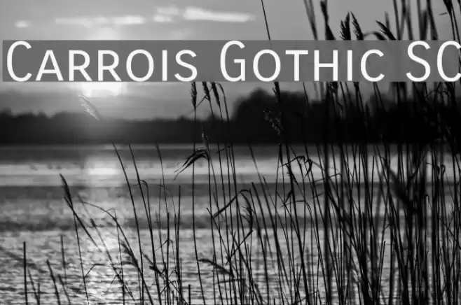 Carrois Gothic SC Fonte examples