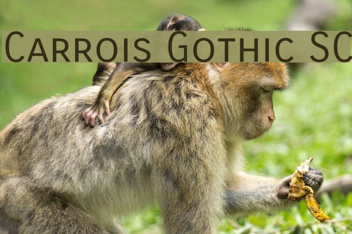 Carrois Gothic SC Font examples