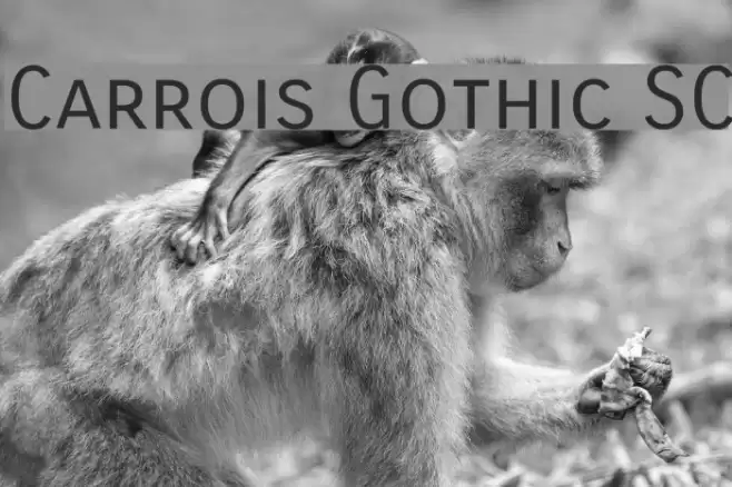 Carrois Gothic SC Fonte examples