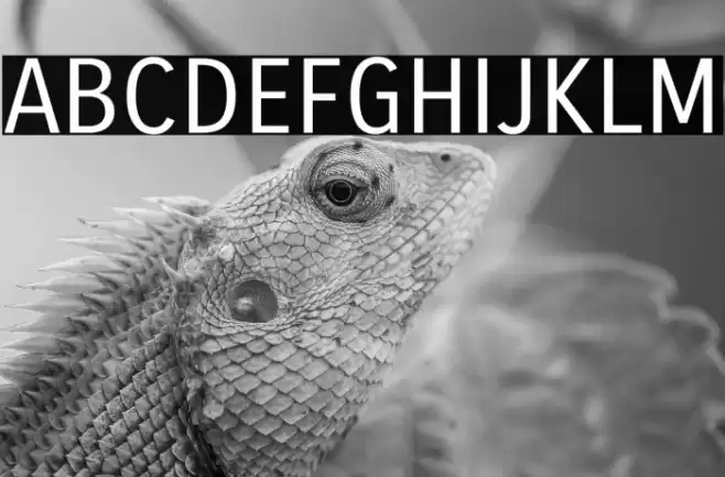 Carrois Gothic Font examples