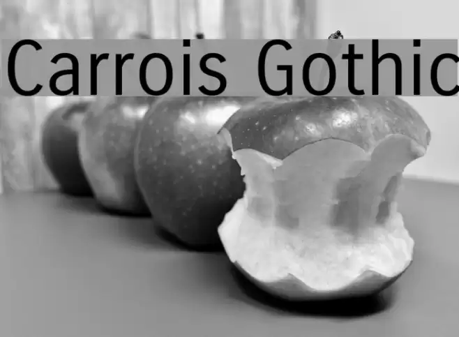 Carrois Gothic examples
