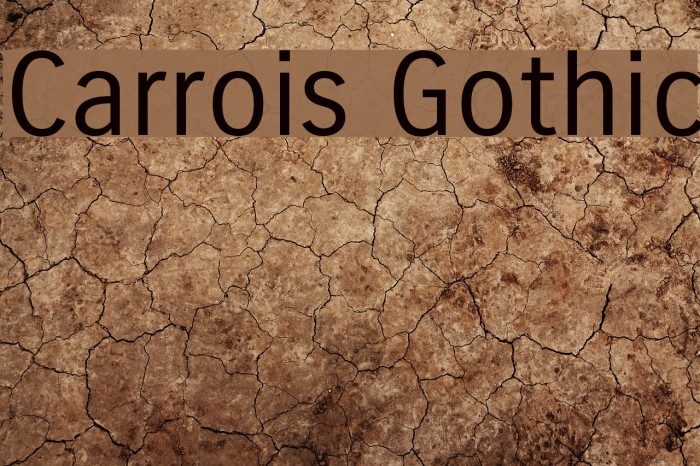 Carrois Gothic Font examples