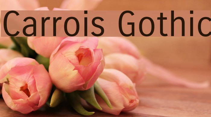 Carrois Gothic Font examples