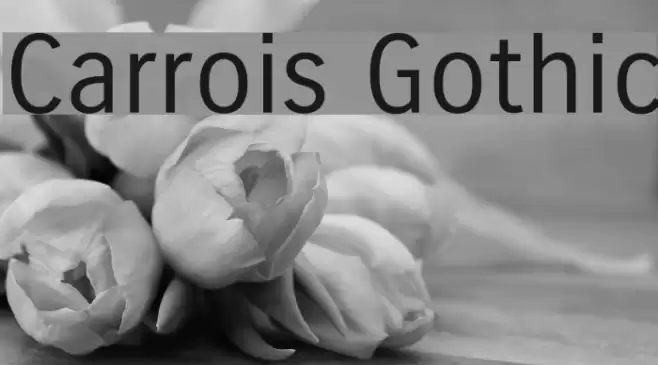 Carrois Gothic examples