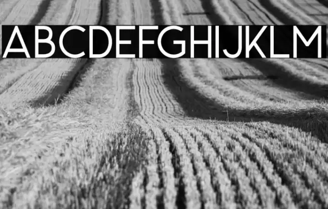 CarrolWild-Clean Font examples