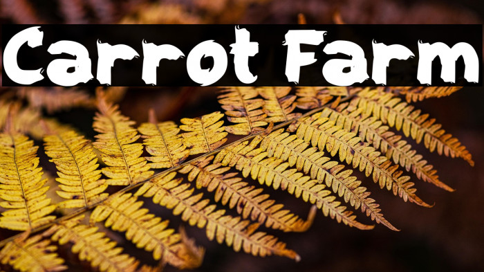 Carrot Farm Example 1