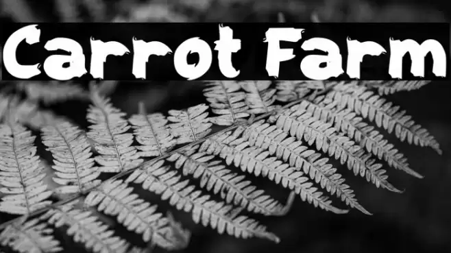Carrot Farm Font examples
