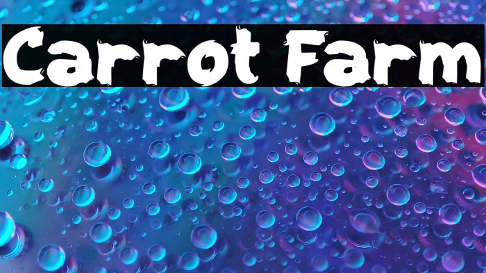 Carrot Farm Example 2