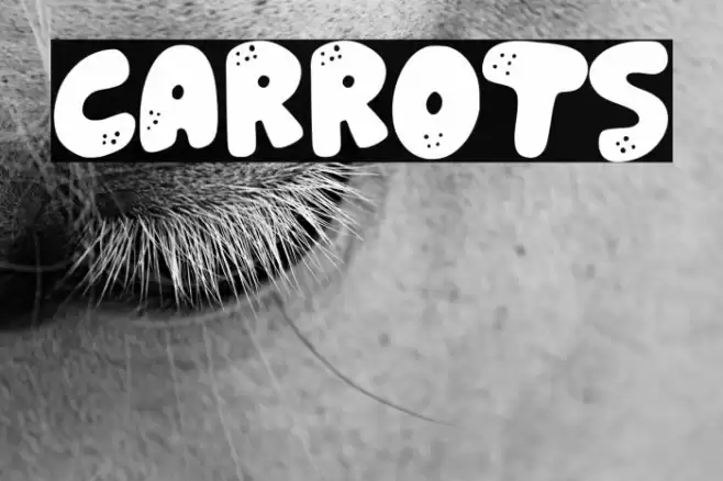 Carrots Font examples