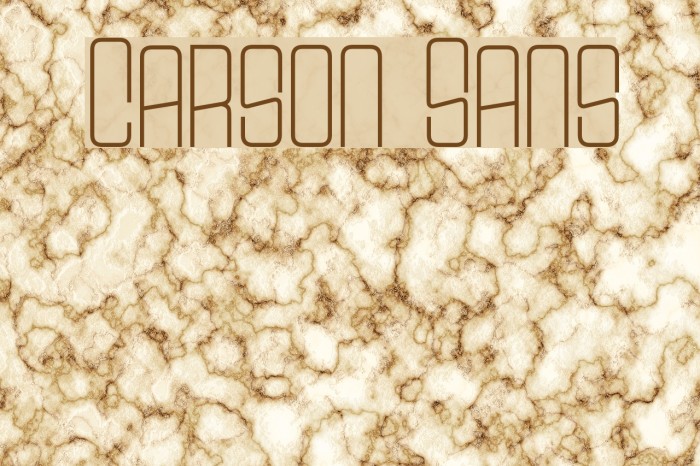 Carson Sans Font examples
