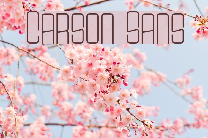 Carson Sans Font examples