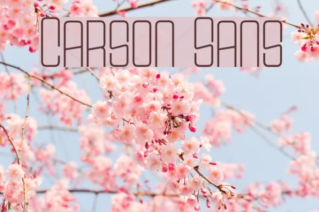 Carson Sans Example 3