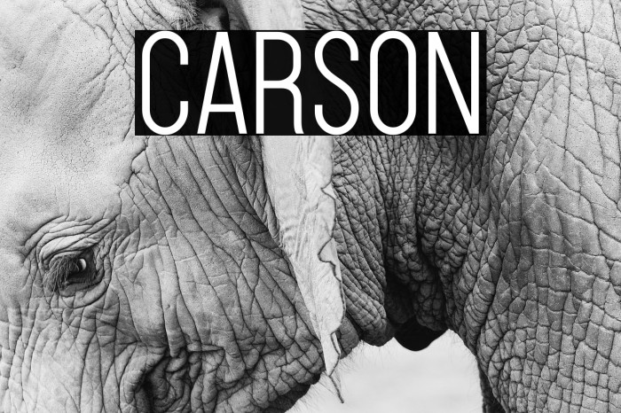 Carson Font examples