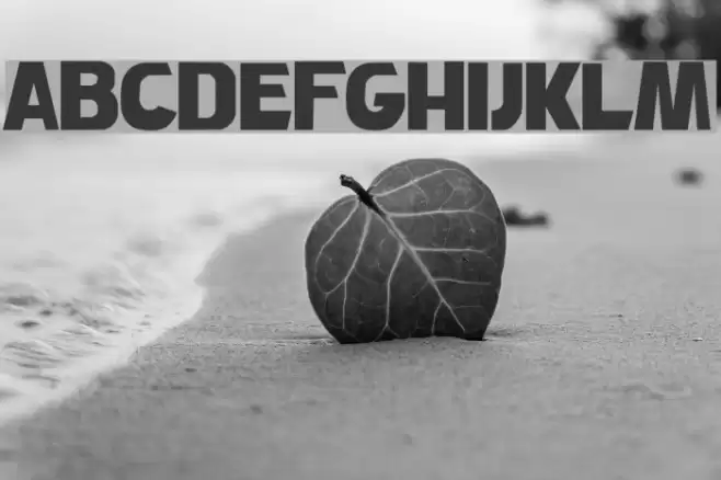 Carson Font examples