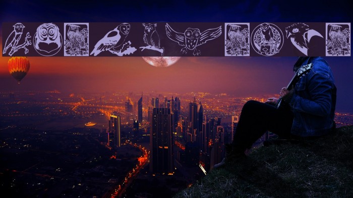 Carsten'sOwls Example 1