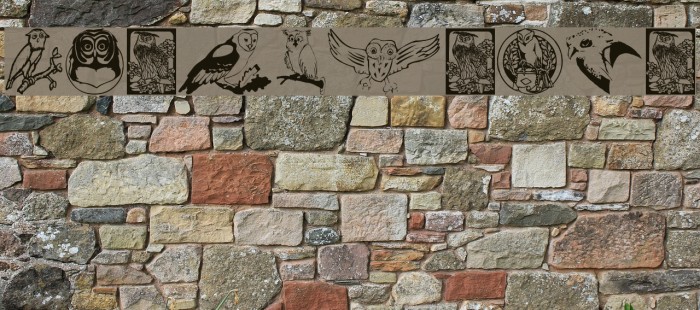 Carsten'sOwls Example 2