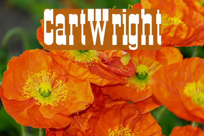CartWright Font examples