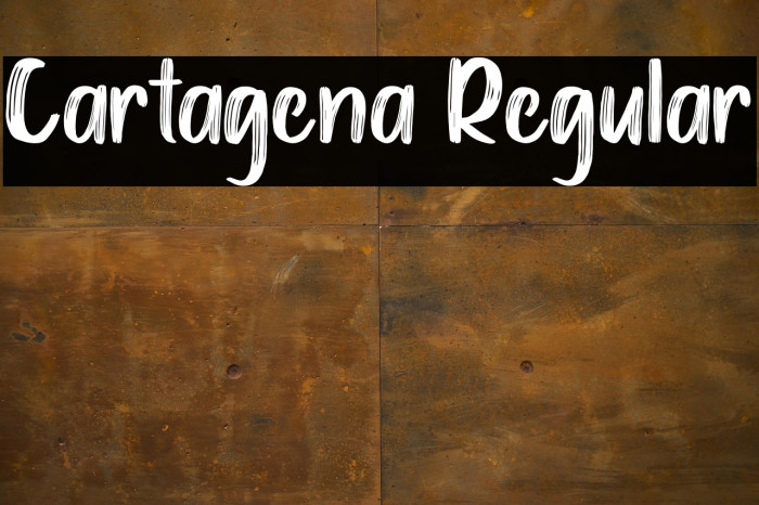 Cartagena Regular Example 2