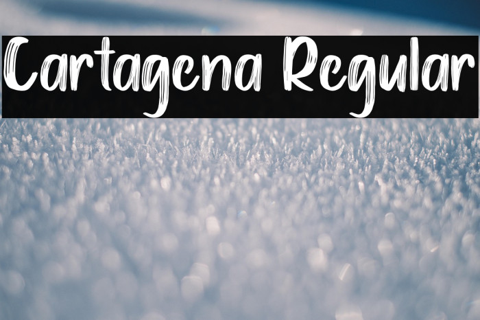 Cartagena Regular Example 3